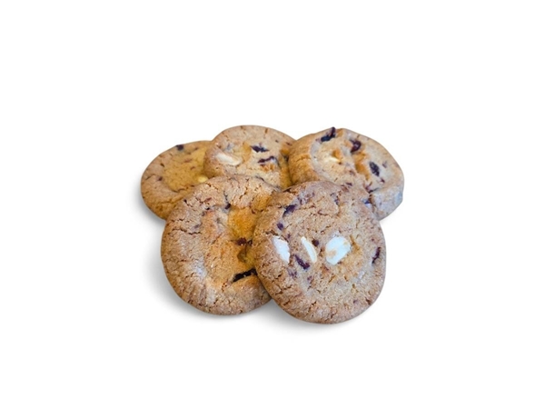 Choco cranberry koekjes 8 st.
